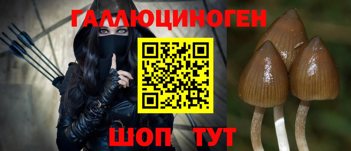 Узловая  Псилоцибиновые грибы Magic Shrooms  Вход с VPN  сколько стоит  Галлюциногенные грибы Psilocybine cubensis 